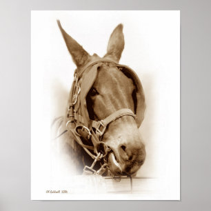 Pôster A Esperar Para Trabalhar