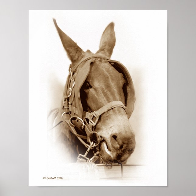 Pôster A Esperar Para Trabalhar (Frente)