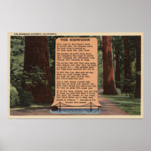 Poster A estrada da sequóia vermelha, poema por Strauss