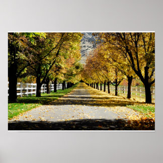 Pôster A Estrada das Cores