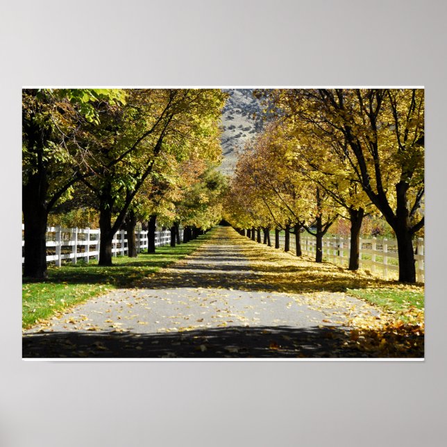 Pôster A Estrada das Cores (Frente)