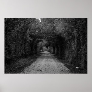 Pôster A estrada escura