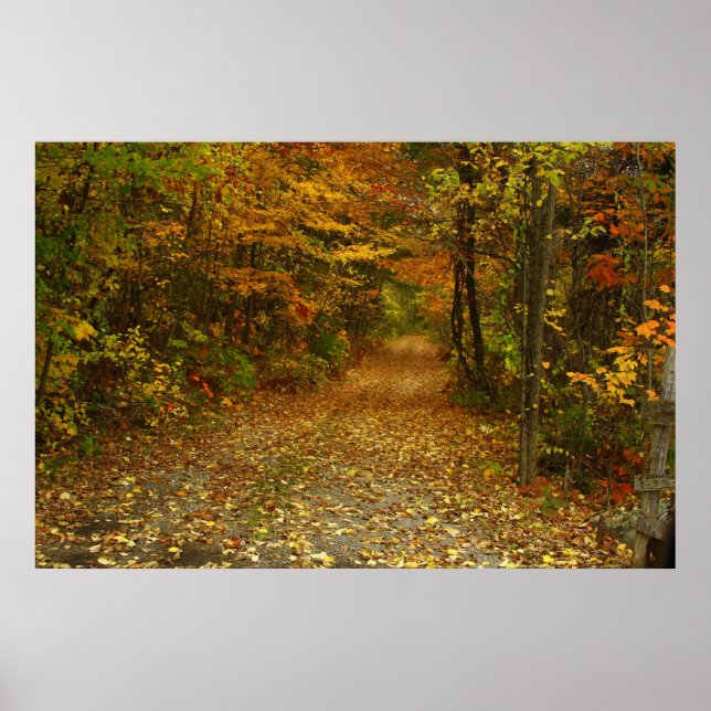 Pôster A Estrada Menos Viajada (Frente)