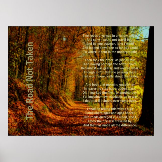 Pôster A Estrada Não Tomada (Frente)