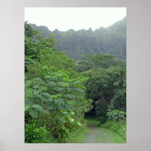 Pôster A Estrada Não Tomada