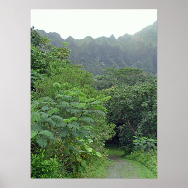 Pôster A Estrada Não Tomada (Frente)