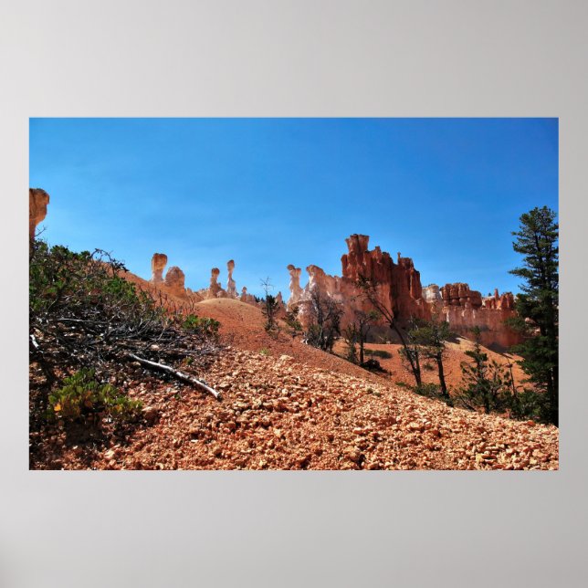 Poster A estranheza do Bryce Canyon (Frente)