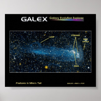 Pôster A Estrela Detalhada Mira com Cauda