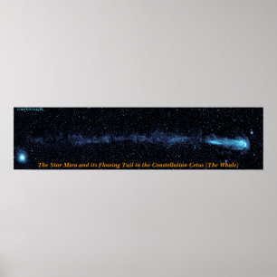 Pôster A Estrela Mira Com Cauda Fluidora
