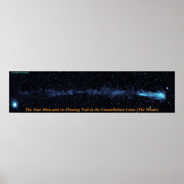 Pôster A Estrela Mira Com Cauda Fluidora (Frente)