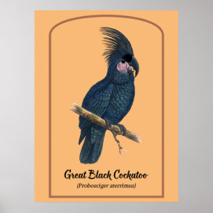 Poster A Excelente Cockatoo Preto