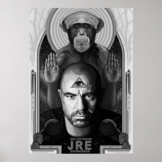 Poster A experiência de Joe Rogan
