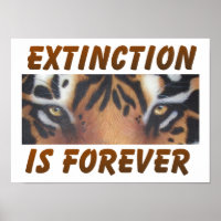 A extinção é para sempre