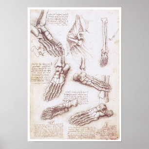 Pôster A extremidade mais baixa, Leonardo da Vinci