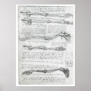 Poster A Extremidade Superior, Leonardo da Vinci