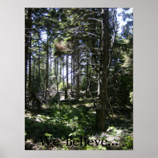 Poster A Fada de Monhegan