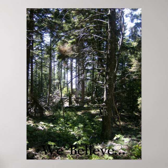 Poster A Fada de Monhegan (Frente)