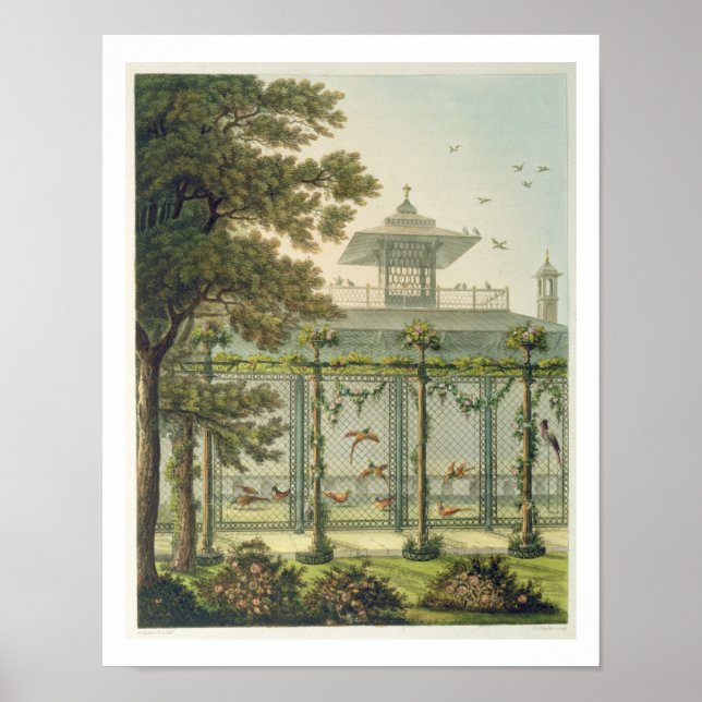 Poster A faisão, gravada por Joseph Constantine Sta (Frente)