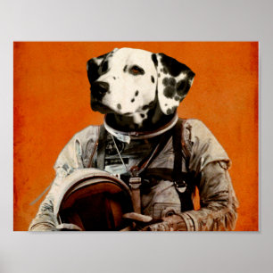 Poster A falha não é uma opção