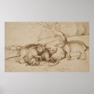 Pôster A família Boar