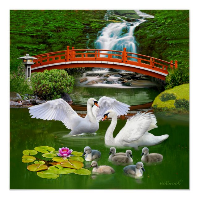 PÔSTER A FAMÍLIA DE CISNES (Frente)