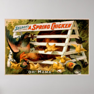 Poster A farsa engraçada de Selden, um jogo da galinha d