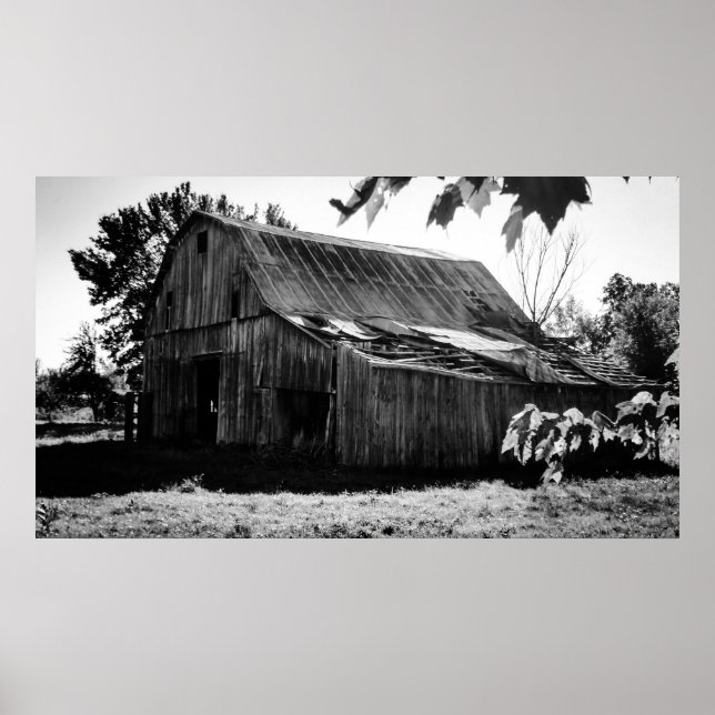 PÔSTER A FAZENDA (Frente)