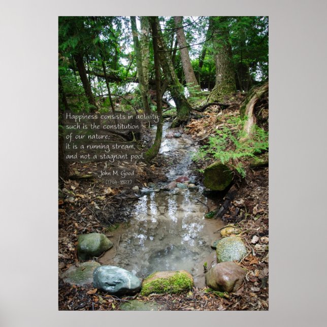 Poster A felicidade consiste em atividade (Frente)