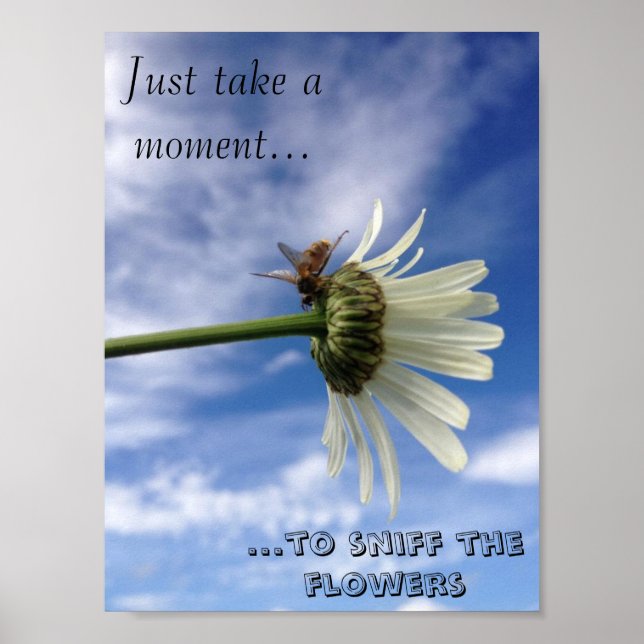 Poster A Flor da Abelha (Frente)