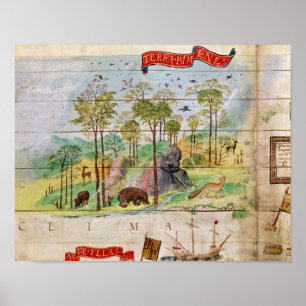 Poster A floresta canadense