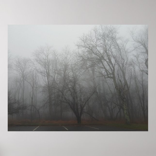 Poster A foggy day on the Skyline Drive in Virginia (Frente)