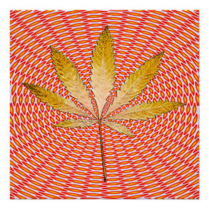 Pôster A Folha do Ouro.