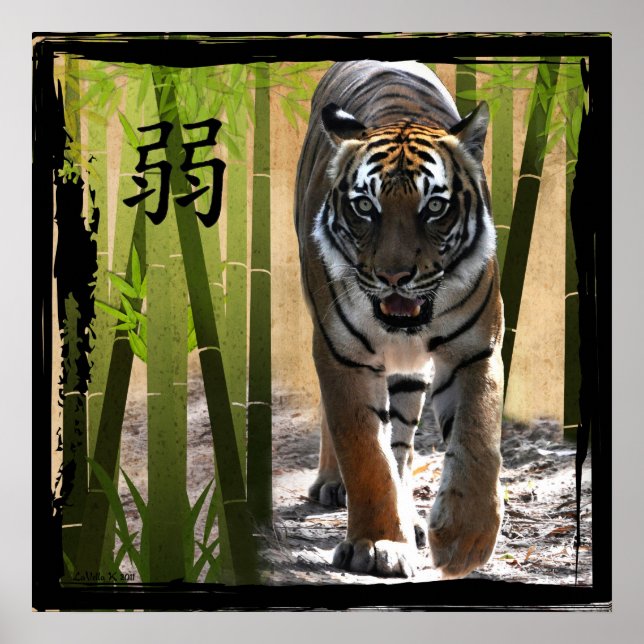 Poster A força de Christin (Frente)