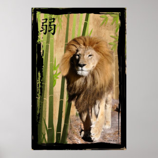 Poster A força de Christin