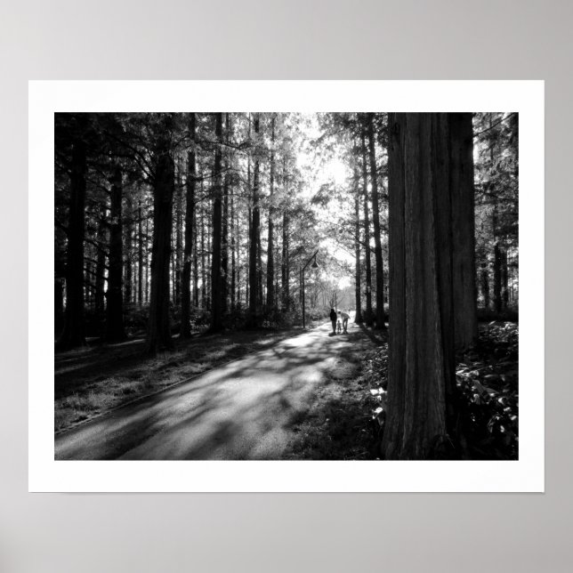 Poster A Forest Walk: Parque de Mizumoto, Tóquio (Frente)