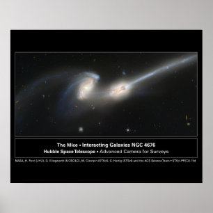 Poster A foto do telescópio de Hubble dos ratos