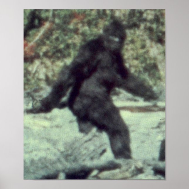 POSTER A FOTO ORIGINAL DA SASQUATCH DE 1967 (Frente)