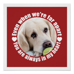 Pôster A FOTO, poster personalizado com amor distante