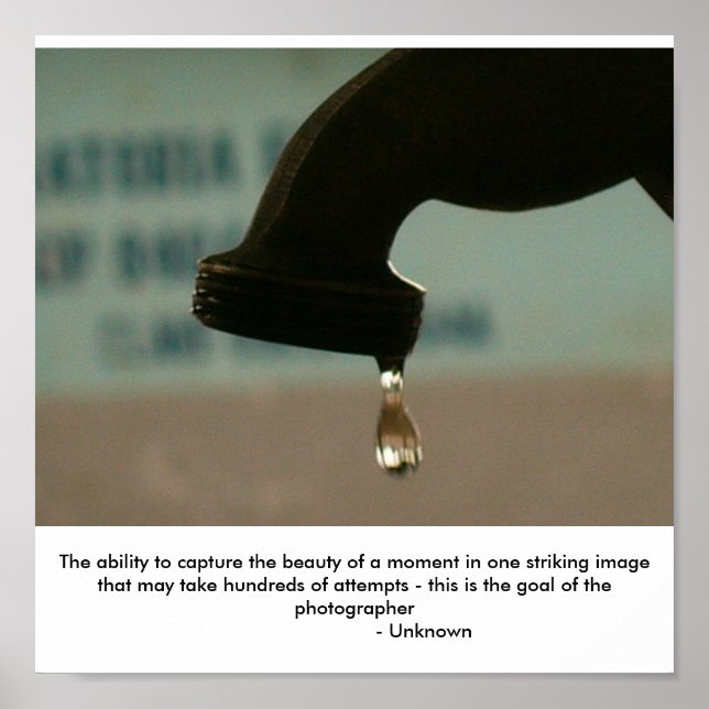 Pôster A fotografia é... (Frente)