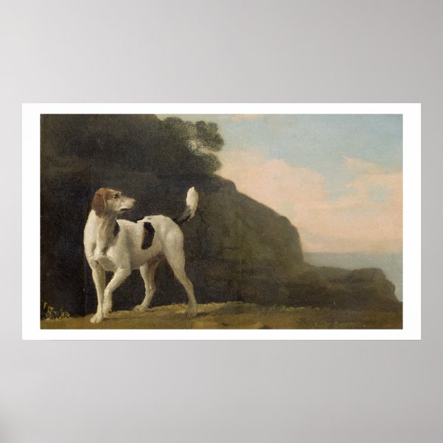 Poster A Foxhound, c.1760 (óleo em papel colocado em cons (Frente)