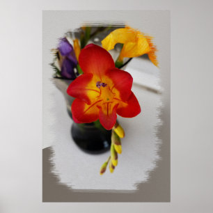 Poster A freesia vermelha