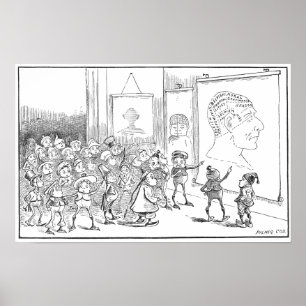 Pôster A frenologia do estudo das brownies