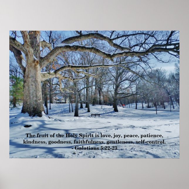 POSTER A FRUTA DO ESPÍRITO (Frente)