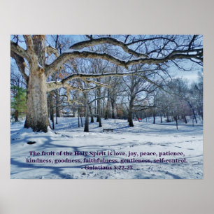 PÔSTER A FRUTA DO ESPÍRITO