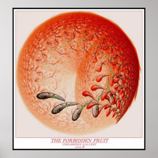 POSTER A FRUTA PROIBIDA