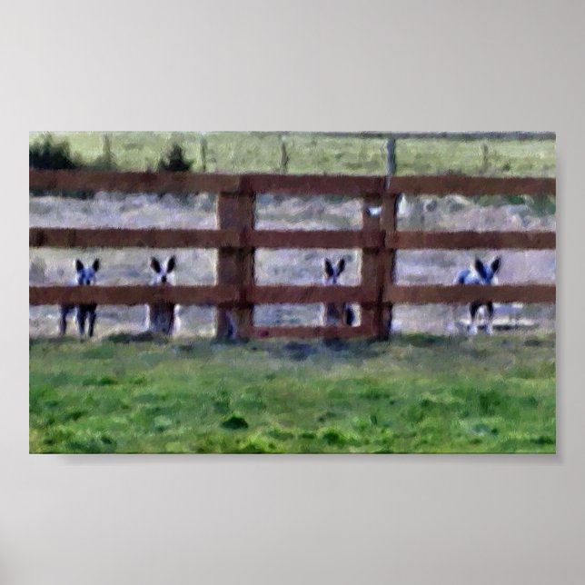 Pôster A Gangue (Frente)