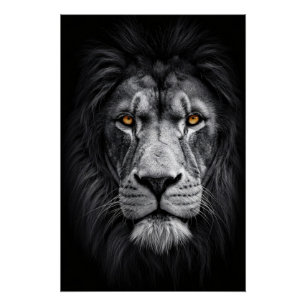 Pôster A Gaze do Rei