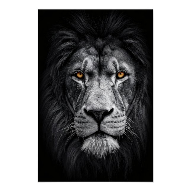 Pôster A Gaze do Rei (Frente)