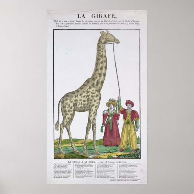 Poster A Girafa Apresentada ao Rei (Frente)