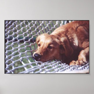 Pôster A Golden Day